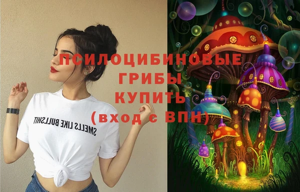 spice Шали