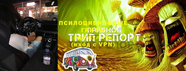винт Чегем