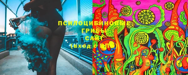 стафф Шадринск